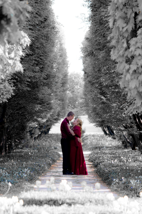 Love Framed by Tall Pines