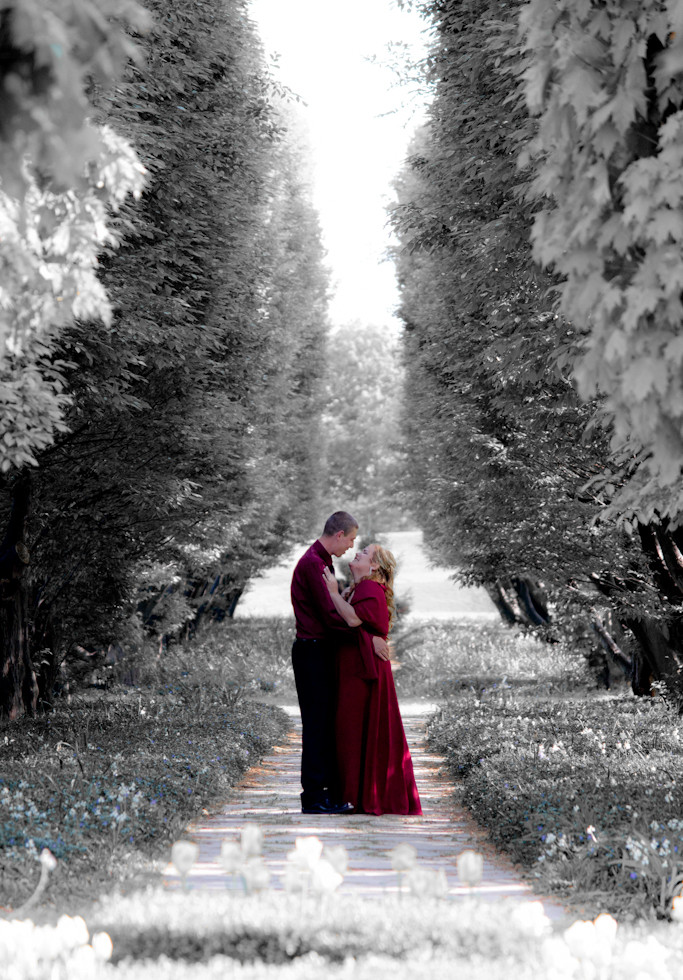 Love Framed by Tall Pines